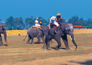 Jumbos and  Polo Players: 24th World Elephant Polo Championship