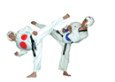 The Martial Art of Taekwondo Part 1