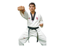 The Martial Art of Taekwondo