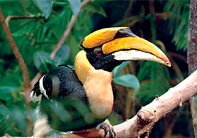 Tell Me Something I Didn't Know...