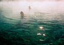 Tectonic Gifts Hot Springs of the Himalayas