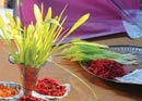 Defining Dashain
