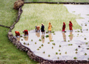 The Life of Food in Nepal - World Food Program Nepal