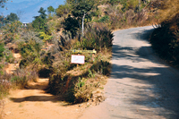 Almost famous, already great