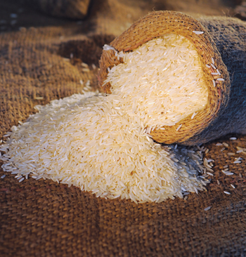 More than plain white grains