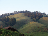 An afternoon on a Hermit's verandah
