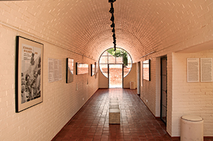 The Art of Preservation