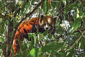 A Trip worth a Lifetime