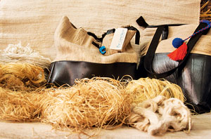 Bags with Purpose A Story Worth Hearing