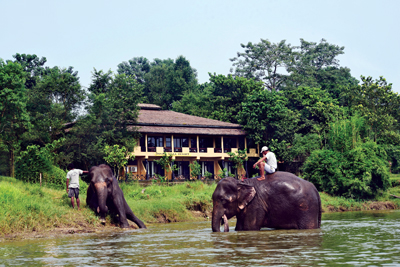 A Villa in the Jungle