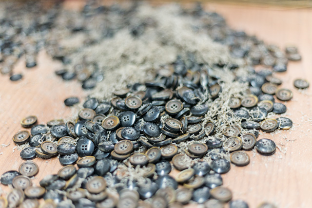 The Curious Case of Laxmi's Buttons