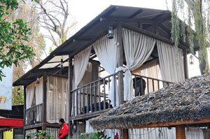 Going Organic a growing Culture