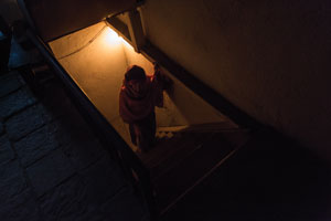 To Follow or Not to Follow