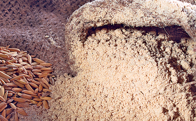 Healthful Sattoo  of the Terai