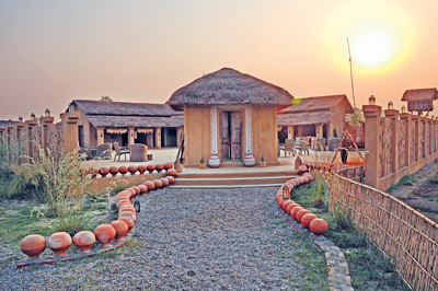 A Luxurious Jungle Abode