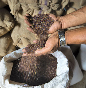 Khokana's Famed Tori-ko-tel