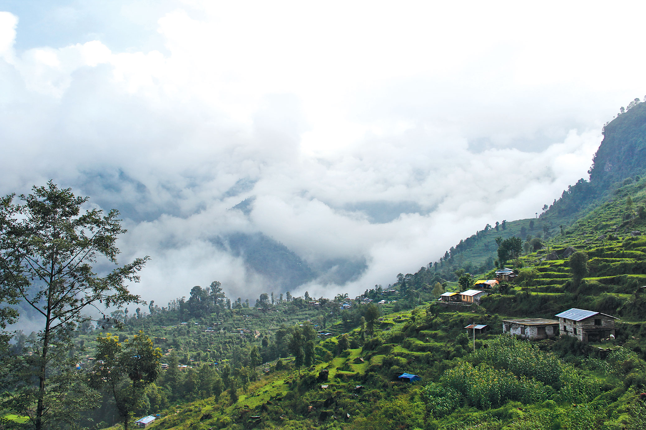 Nepal's Environment Is Getting Better...Really!