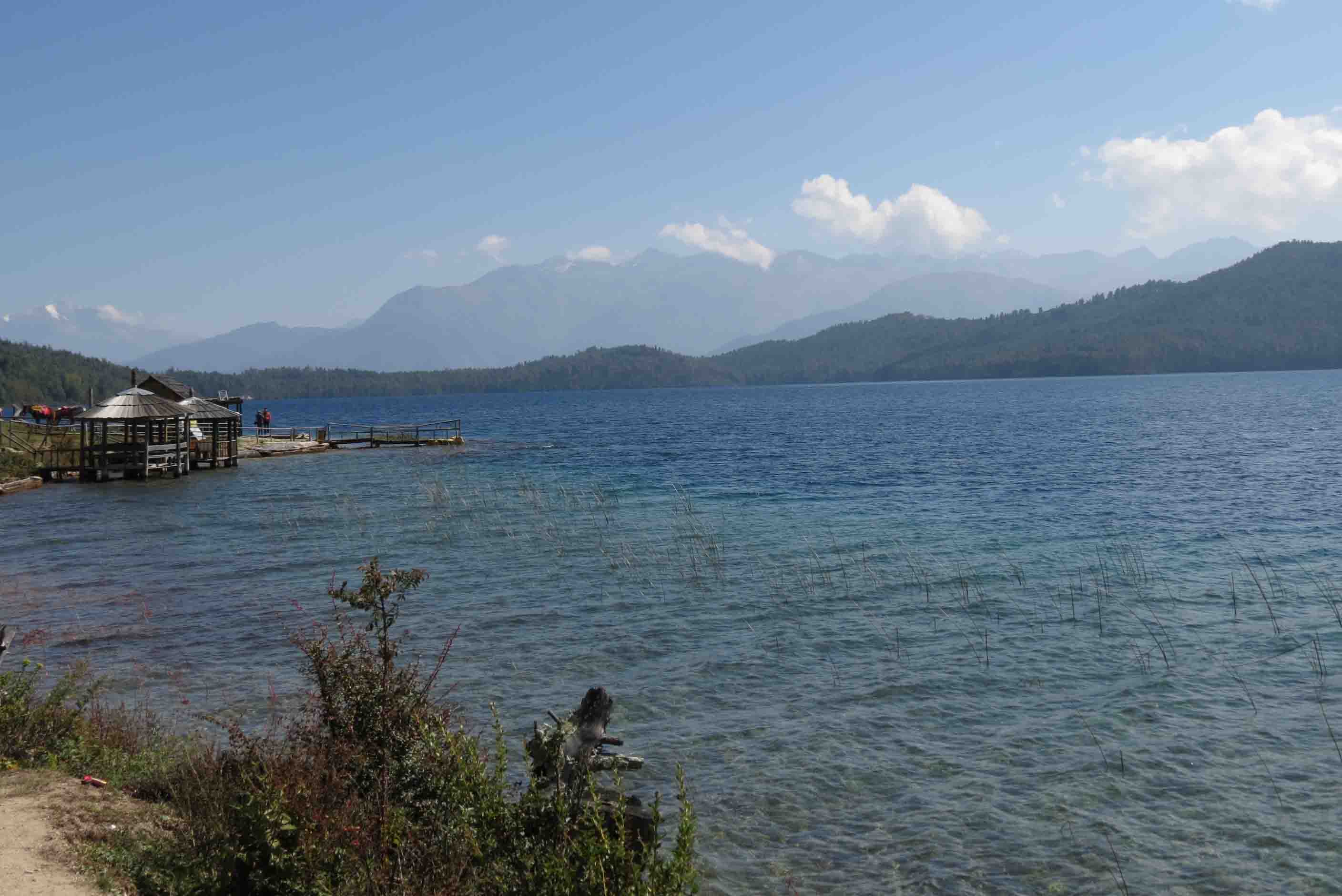 Bewitched by a Sublime Beauty