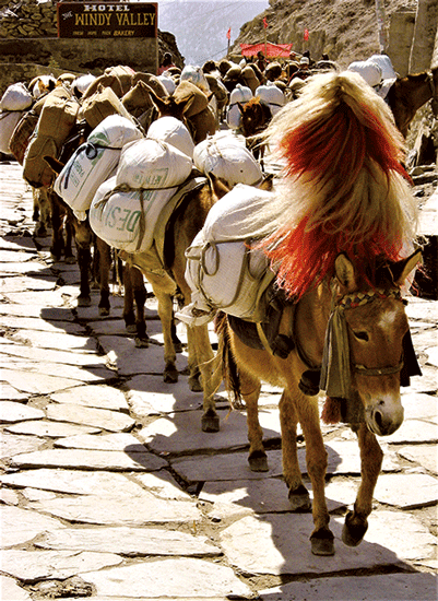 Early Writings on the Valley of Thak