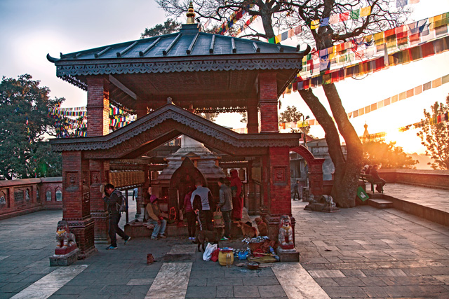 The Many Blessings of Saraswati