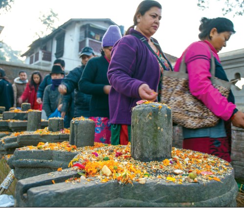 Scattering Seeds of New Life