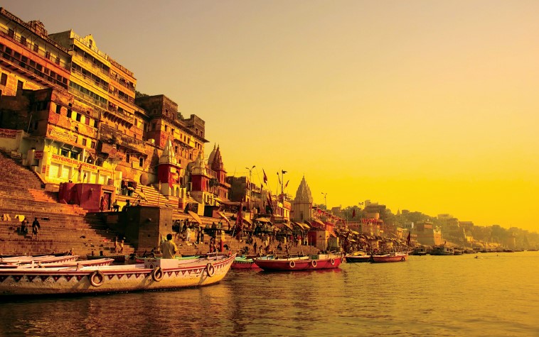 The Gangetic Dolphin: 'More on the Web of Ganga'