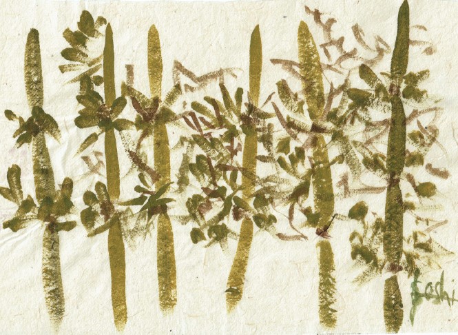 Eating the Wilderness