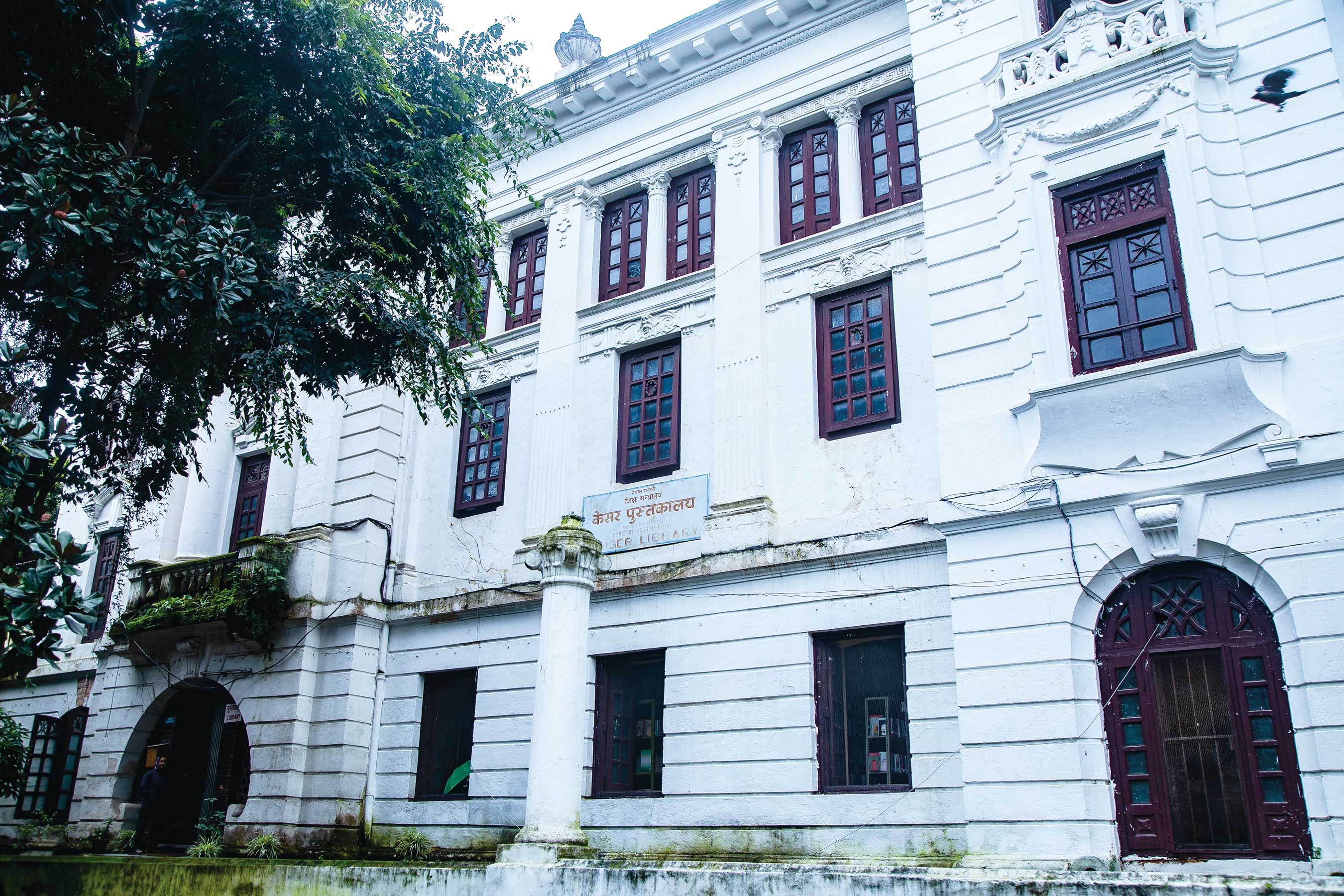 Amidst its Books and History, a Present Library Evokes the Past