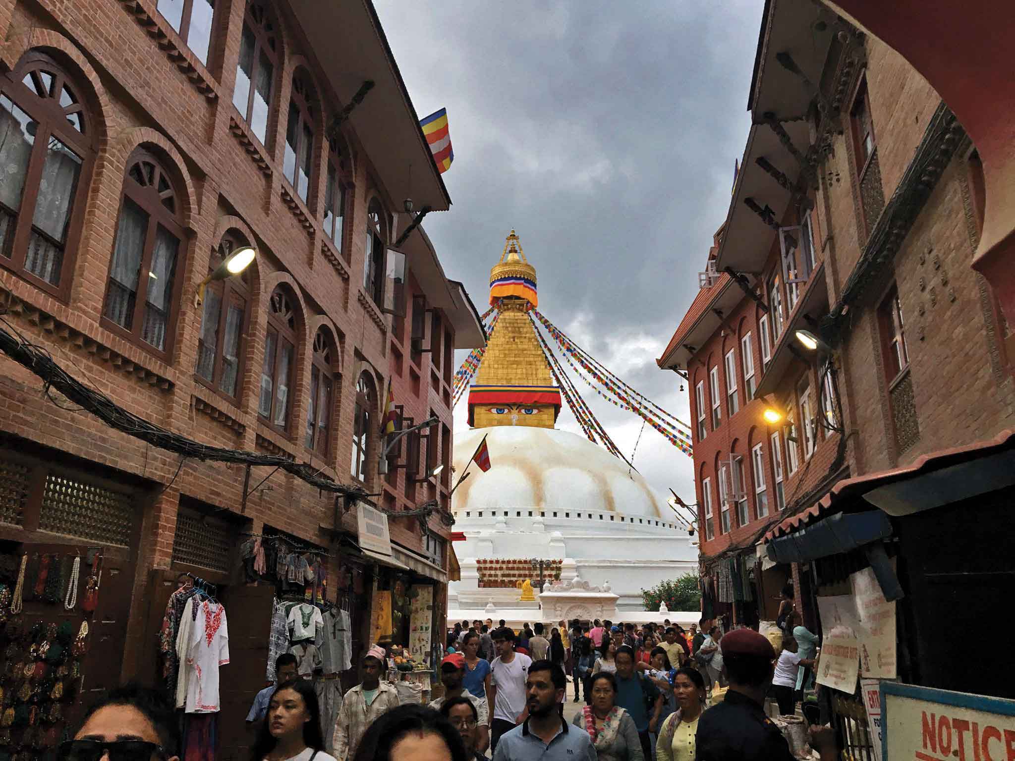 TAKING THE TIME TO SIT AND WATCH