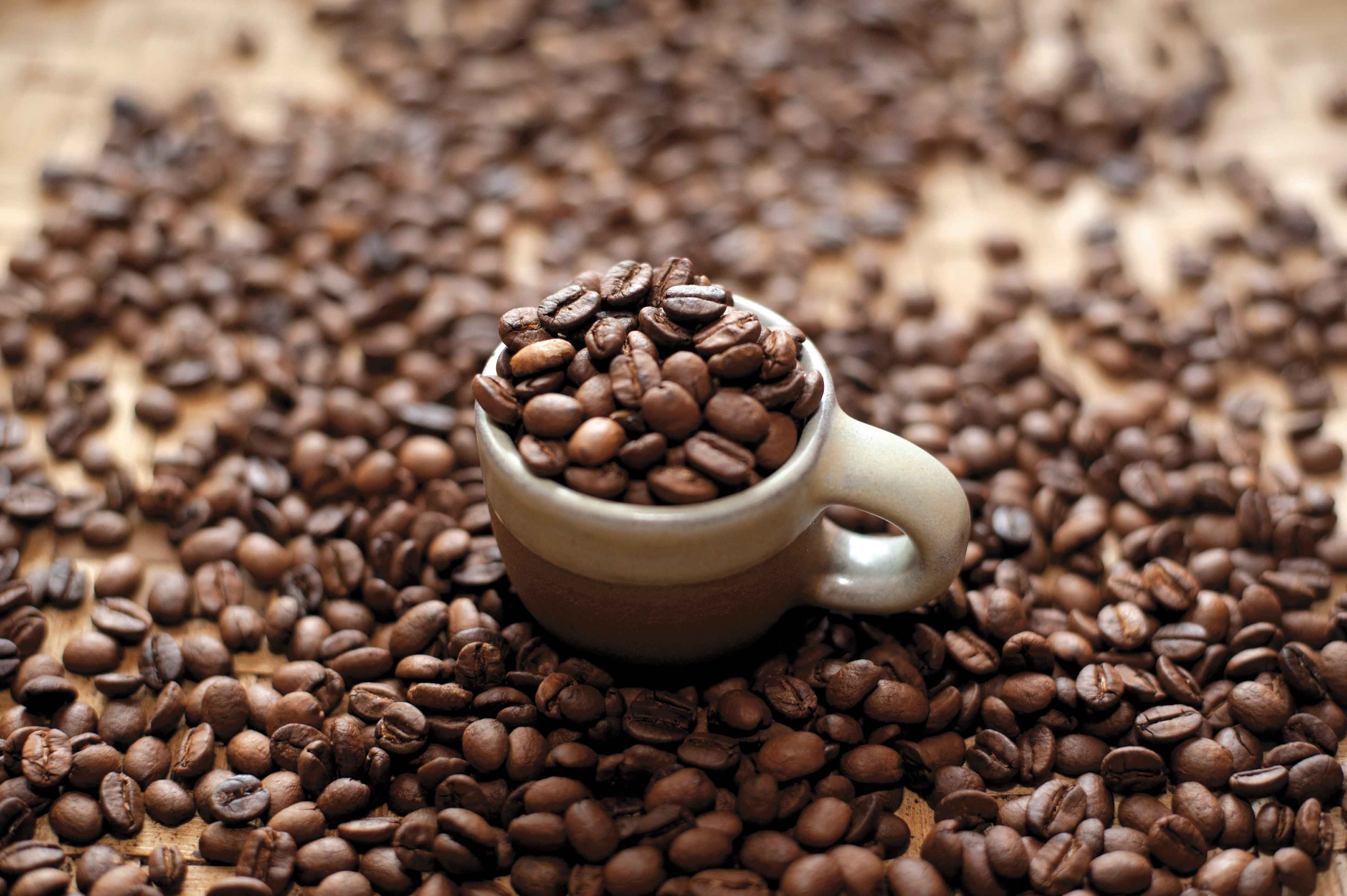 Nepali Coffee, Nepali Treasure