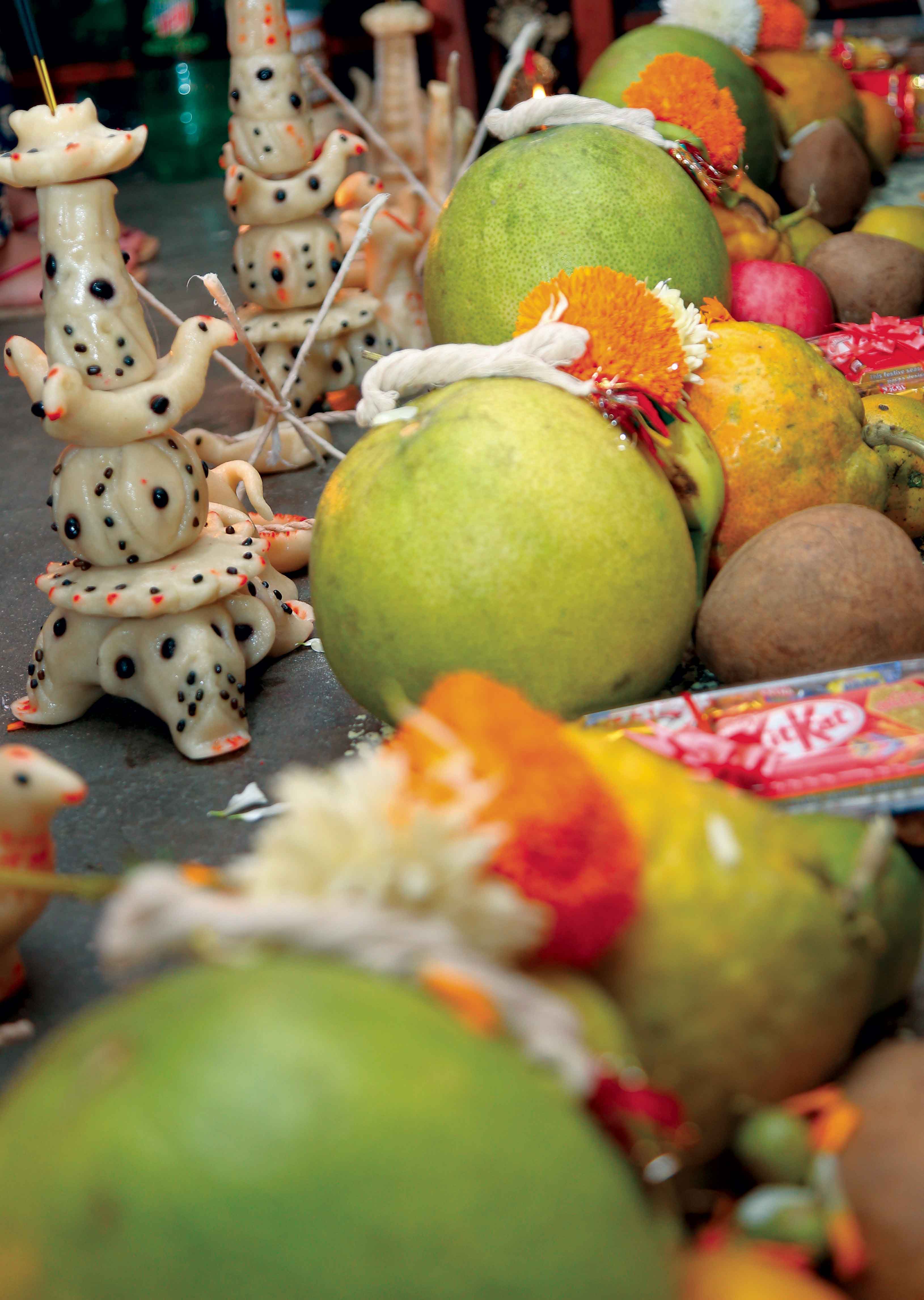 Purification and Cleansing for the Year Ahead: the Rite of Mha Puja