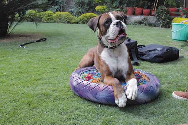 Tyre Treasures: The Future of Crafting