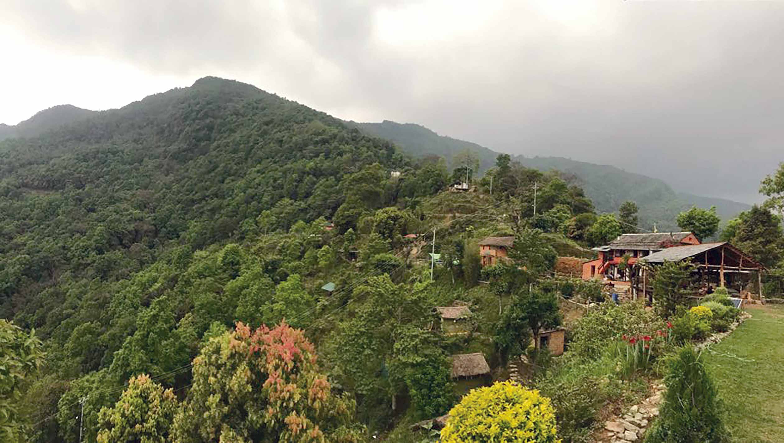 Getting Back to Nature Good for the Mind, Body and Soul