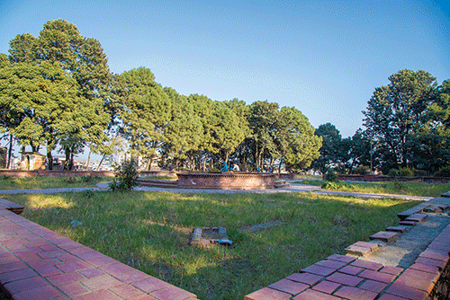 A Space for Culture, Exercise, and Making Memories