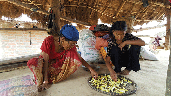 A day with Gyani Maiya Sen: One of the last fluent speakers of the Kusunda language