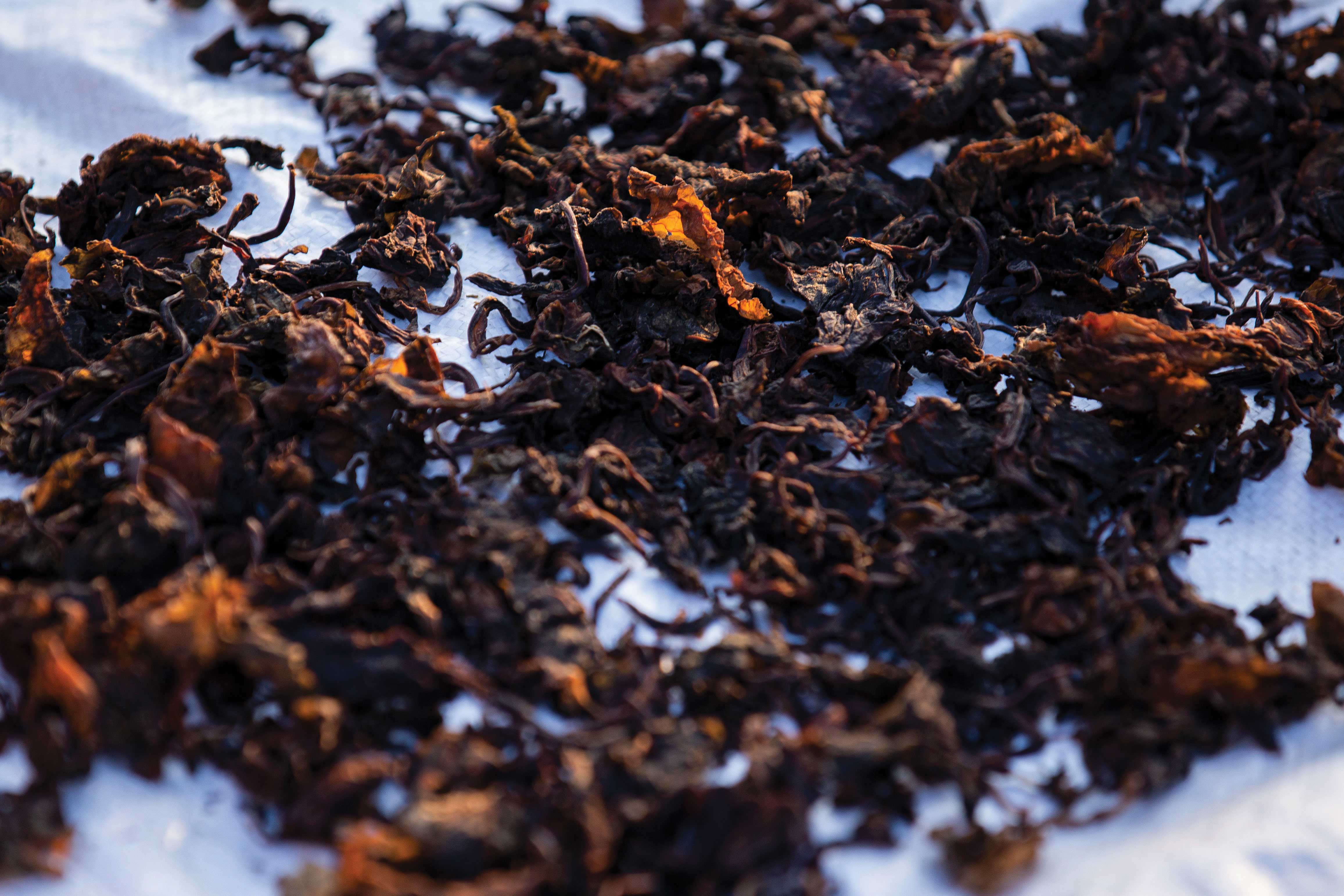 Nepal's Preserved and Fermented Wonders