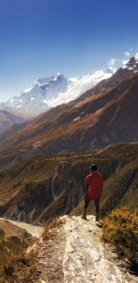 PHOTO COURTESY NILS THOMAS